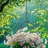 halima.akter736
