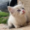 wahid.barkat8