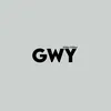 gwys.videoeditor