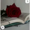 user7563583030781