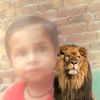 shafeeqshafeeq0196