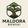 maldora.bonsai