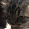 mimi166690