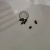 grosseteubdu63
