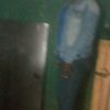 user85596304131334