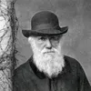 f.jdw