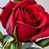 ahlam.mima89