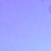 zxyllc