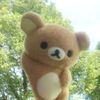 lilauggy
