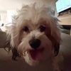 brielle6171