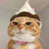 dima.dz1