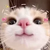 maria.makii5