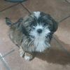 aniela.puente.ort