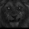 alonewolf7709