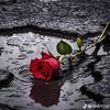 nadin.akhras