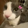 rawr6055
