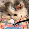 ilovetiktok281100