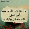 user9397440371498