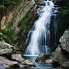 nature.wallpaper12