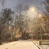 olg.olga2