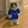 Nerazzurri Fan