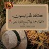 user8803039794967