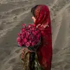 .hadeel.albarasi