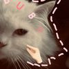 dede_nii
