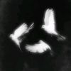user55ldeaq1s6
