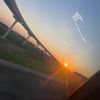 phoenix_tho