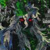 v1nylreverie_
