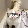 user4448152505101
