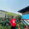dallu.pasang.yonj