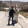 hamze.halaseh4
