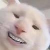 chemchepcuteo08