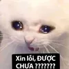 nguyentienphat100