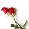a.n.naaz5