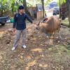 ilham.ahmad.fauza0