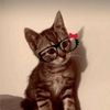 ishaaal_4