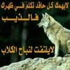 user3520226353842