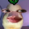Shang^᪲᪲᪲