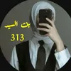 .313194518