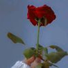 user69123177141051