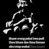 idrismuhammad881