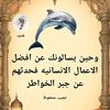 mhamadayub251