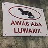 anjammmmmmm