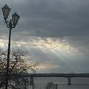 tultip_