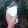 boppeloppe