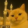 atiqah1314