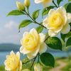 su.myat5760